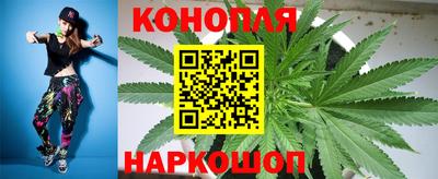 шишки Пыть-Ях
