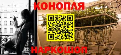 Альфа ПВП Пугачёв