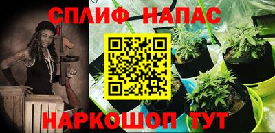 Альфа ПВП Пугачёв