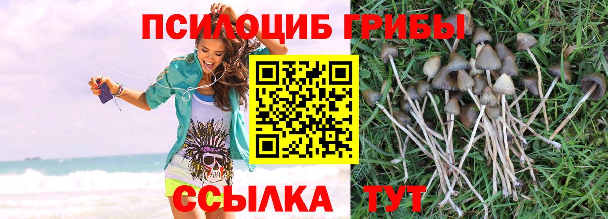 Псилоцибиновые грибы Magic Shrooms  Вход с VPN  продажа наркотиков  Реж  Псилоцибиновые грибы Psilocybe 